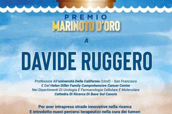 facebook_1760773239540_7385218241699414044