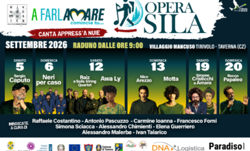 Grafica completa